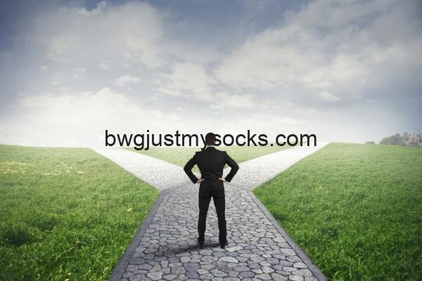 Just My Socks方案选择